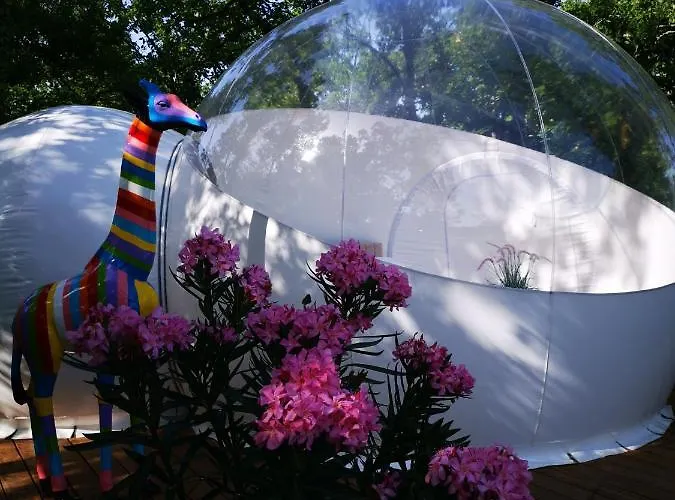 Coeur De Bull' Cahuzac-sur-Vère