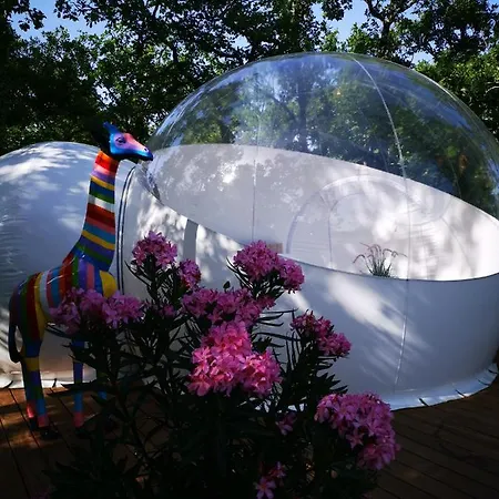 Coeur De Bull' Cahuzac-sur-Vère